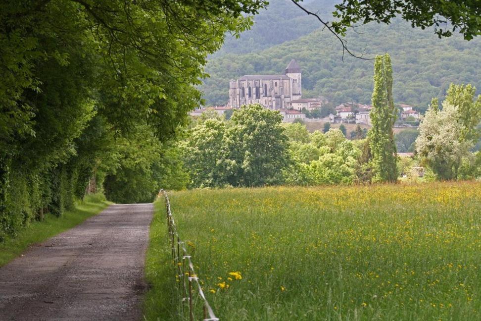 Chateau De Vidaussan Labroquere Εξωτερικό φωτογραφία